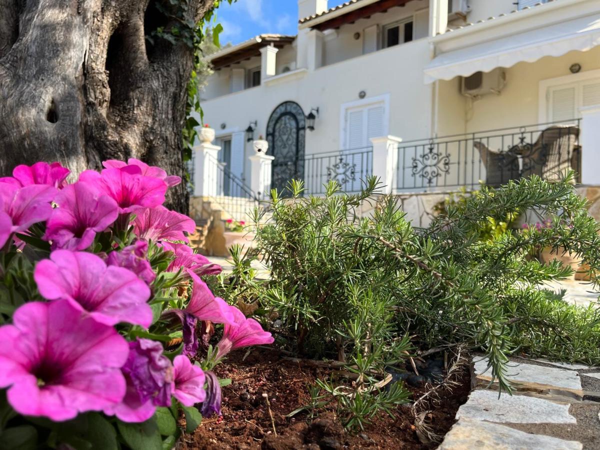 פאלאוקסטריצה Villa Ampelaki 2 מראה חיצוני תמונה
